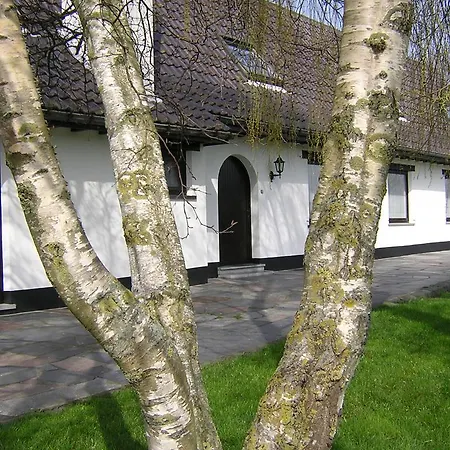 The Cosy Hill * Poperinge